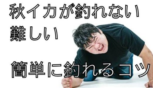 秋イカが難しいと感じる5つの理由と解決方法。誰でも簡単に釣れるコツ